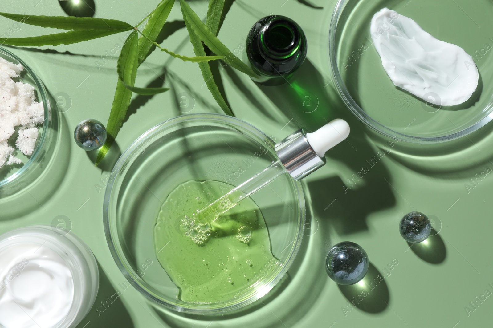 Photo of Petri dishes with cosmetic products, pipette and leaves on green background, flat lay