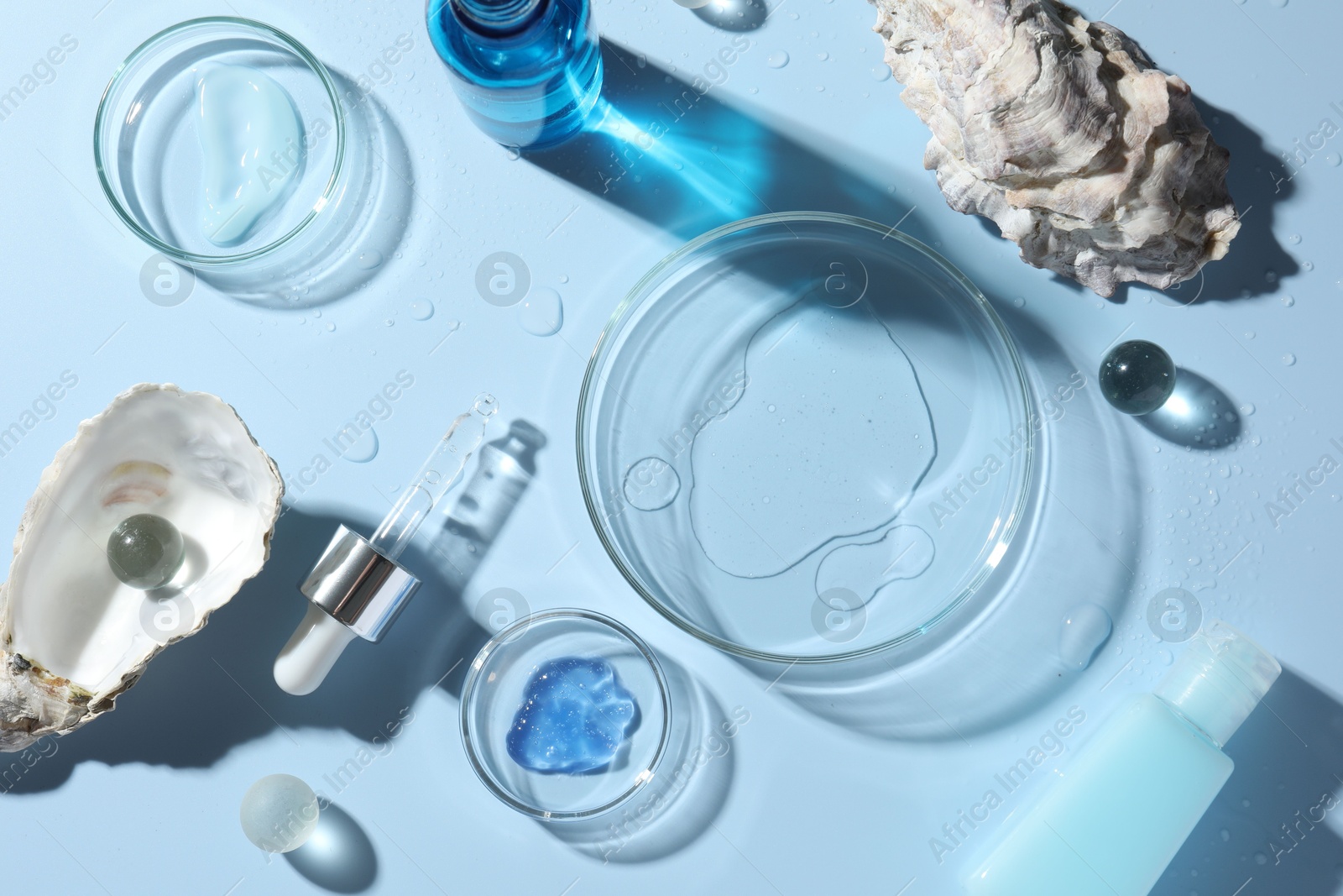 Photo of Petri dishes with cosmetic product, pipette and seashells on light blue background, flat lay