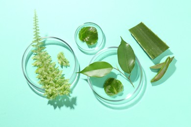 Petri dishes with different fresh leaves on turquoise background, flat lay