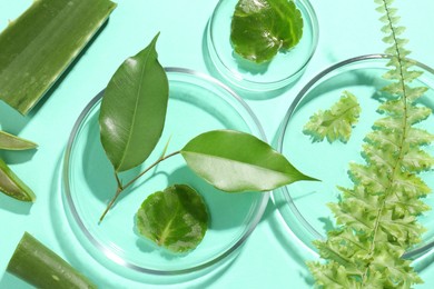 Petri dishes with different fresh leaves on turquoise background, flat lay