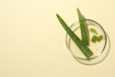 Photo of Petri dish with fresh aloe vera leaves on beige background, top view. Space for text