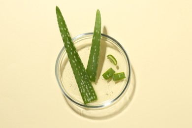 Petri dish with fresh aloe vera leaves on beige background, top view