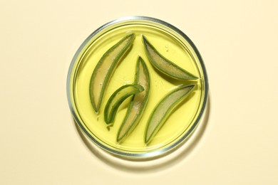 Photo of Petri dish with gel and fresh aloe vera leaves on beige background, top view