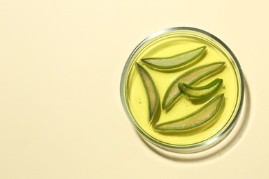 Photo of Petri dish with gel and fresh aloe vera leaves on beige background, top view. Space for text