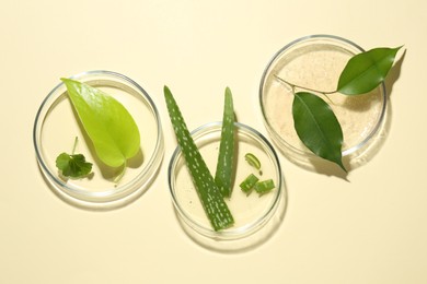 Photo of Petri dishes with different fresh leaves on beige background, flat lay