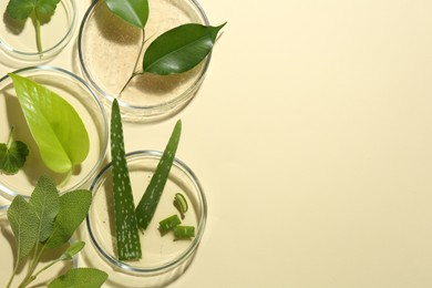 Photo of Petri dishes with different fresh leaves on beige background, flat lay. Space for text