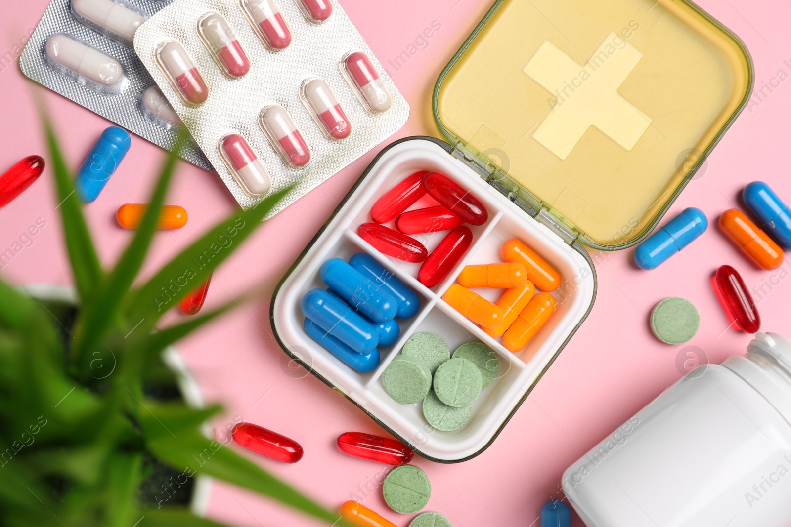 Photo of Different pills, organizer, medical jar and houseplant on pink background, flat lay