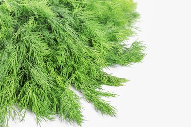 Photo of Sprigs of fresh green dill on white background