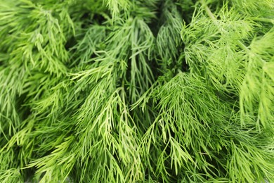 Sprigs of fresh green dill as background, closeup