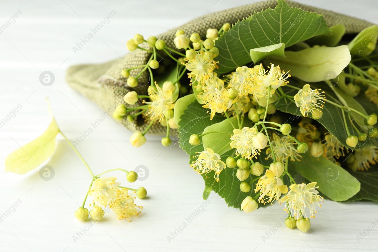 Photo of Fresh linden leaves and flowers on white wooden table, closeup