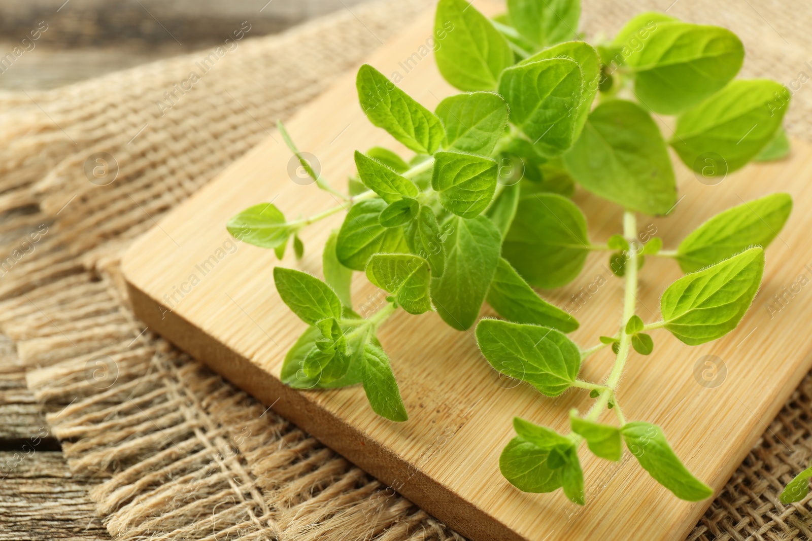 Photo of Sprigs of fresh green oregano on table, closeup