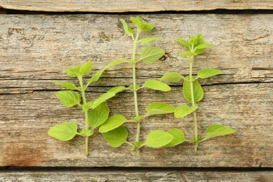 Photo of Sprigs of fresh green oregano on wooden table, top view