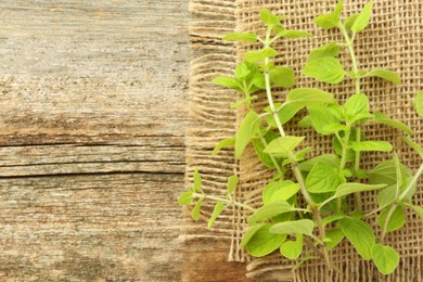 Photo of Sprigs of fresh green oregano on wooden table, top view. Space for text