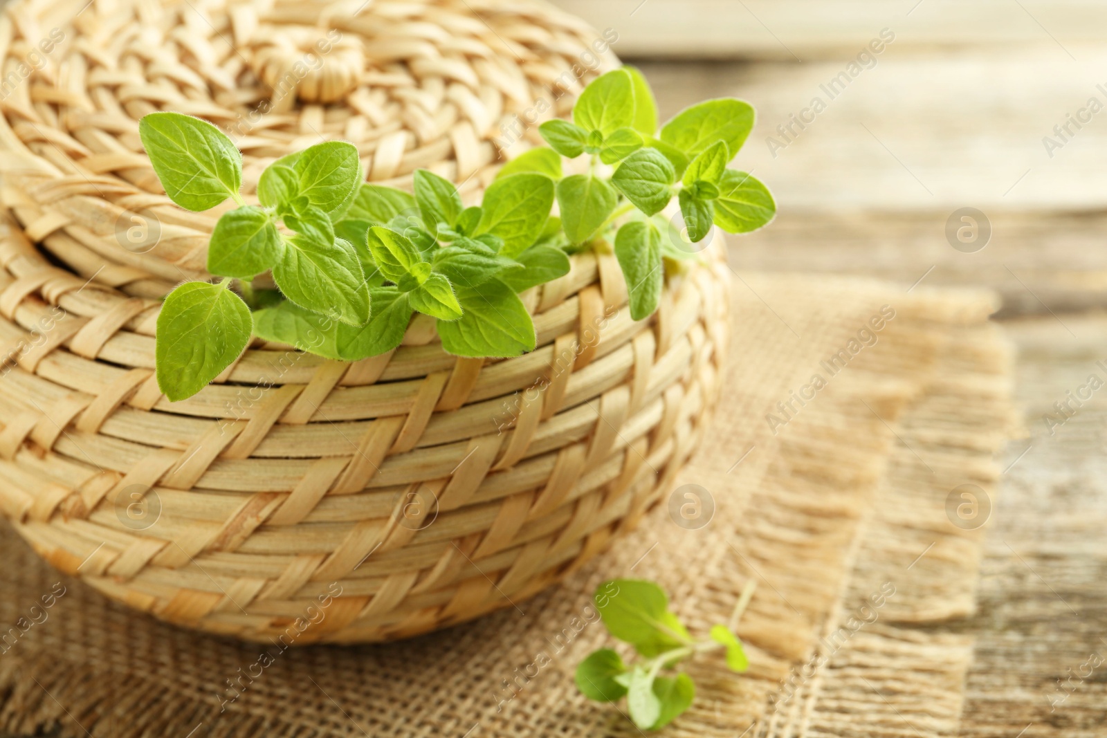 Photo of Sprigs of fresh green oregano on table, closeup