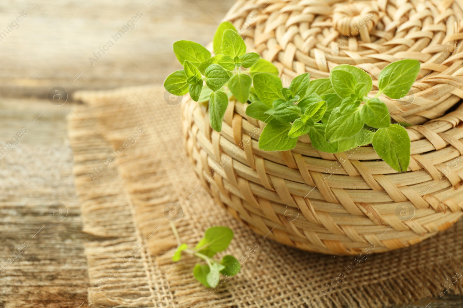 Photo of Sprigs of fresh green oregano on table, closeup