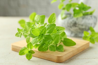 Photo of Sprigs of fresh green oregano on light textured table, closeup