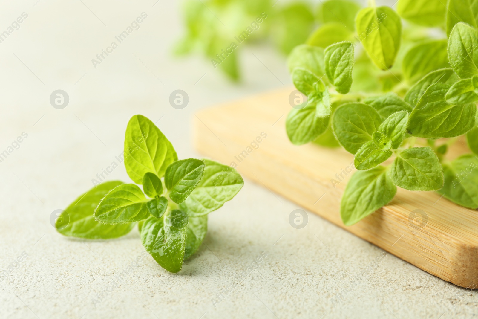 Photo of Sprigs of fresh green oregano on light textured table, closeup