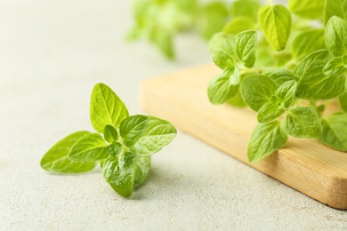 Photo of Sprigs of fresh green oregano on light textured table, closeup