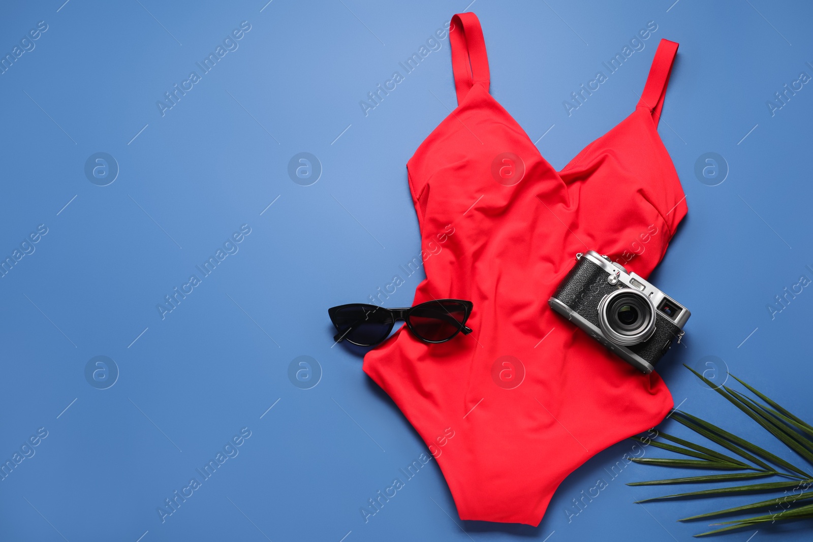 Photo of Red swimsuit, sunglasses, camera and palm leaf on blue background, flat lay. Space for text