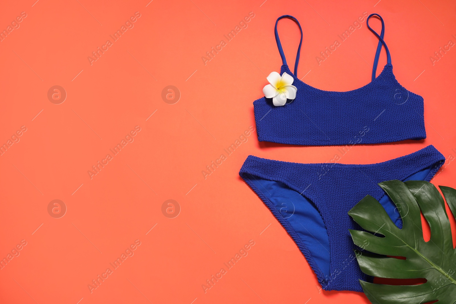 Photo of Blue swimsuit and monstera leaf on coral background, flat lay. Space for text