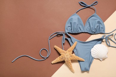 Photo of Beautiful swimsuit, starfish and seashell on color background, flat lay. Space for text