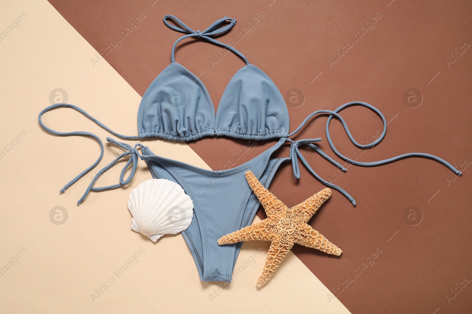 Photo of Beautiful swimsuit, starfish and seashell on color background, flat lay