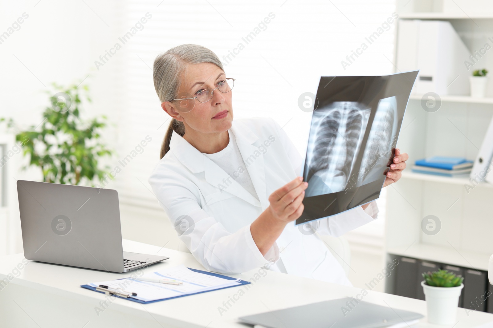 Photo of Lung disease. Doctor examining chest x-ray at table in clinic