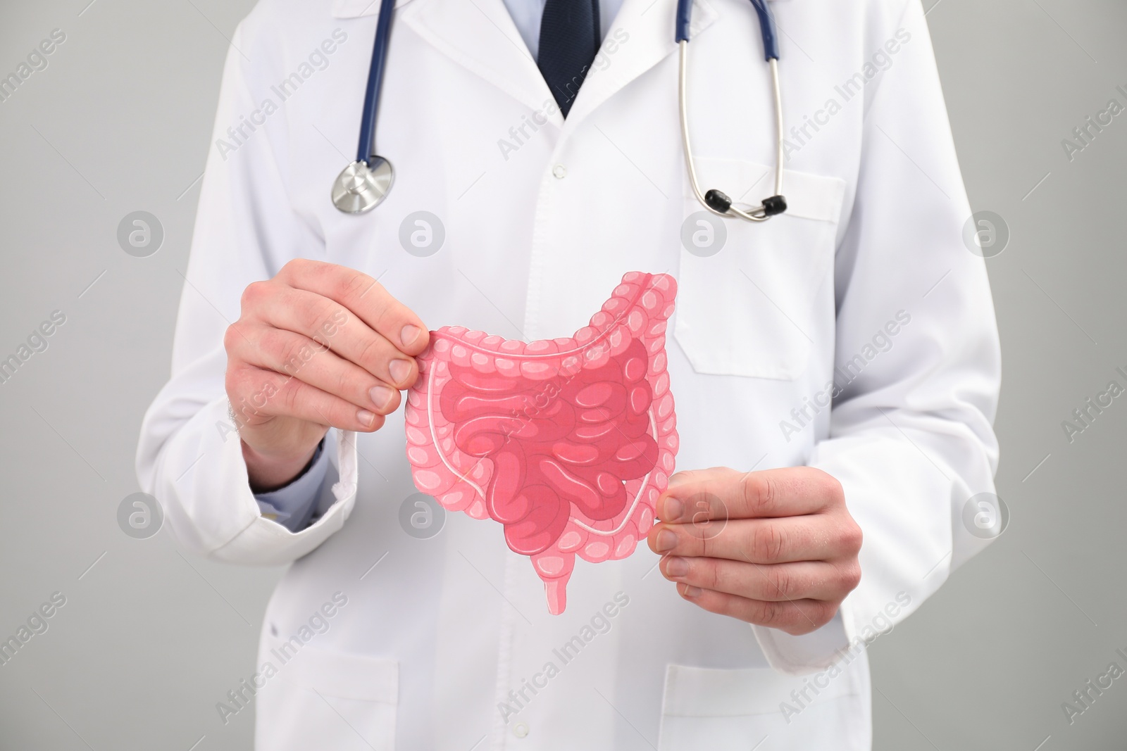 Photo of Doctor with paper intestine cutout on grey background, closeup