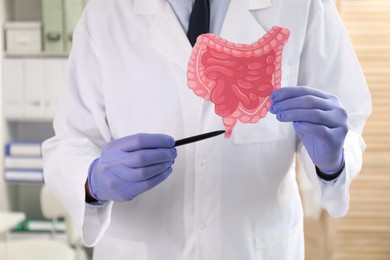 Photo of Doctor showing paper intestine cutout in clinic, closeup