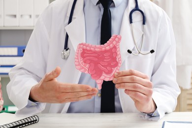 Doctor showing paper intestine cutout at white wooden table in clinic, closeup