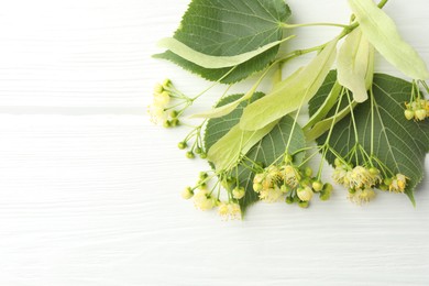 Photo of Fresh linden leaves and flowers on white wooden table, top view. Space for text