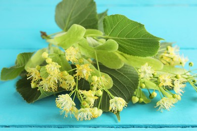 Photo of Fresh linden leaves and flowers on light blue wooden table, closeup