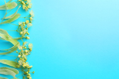 Photo of Fresh linden leaves and flowers on light blue background, top view. Space for text