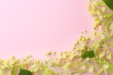 Photo of Beautiful linden blossoms and green leaves on pink background, flat lay