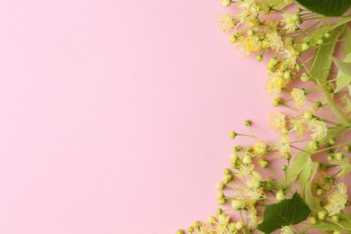 Photo of Beautiful linden blossoms and green leaves on pink background, flat lay