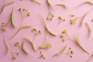 Photo of Beautiful linden blossoms and green leaves on pink background, flat lay