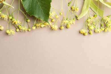 Beautiful linden blossoms and green leaves on dark beige background, flat lay. Space for text