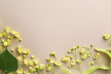 Beautiful linden blossoms and green leaves on dark beige background, flat lay. Space for text