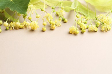 Photo of Beautiful linden blossoms and green leaves on dark beige background, space for text