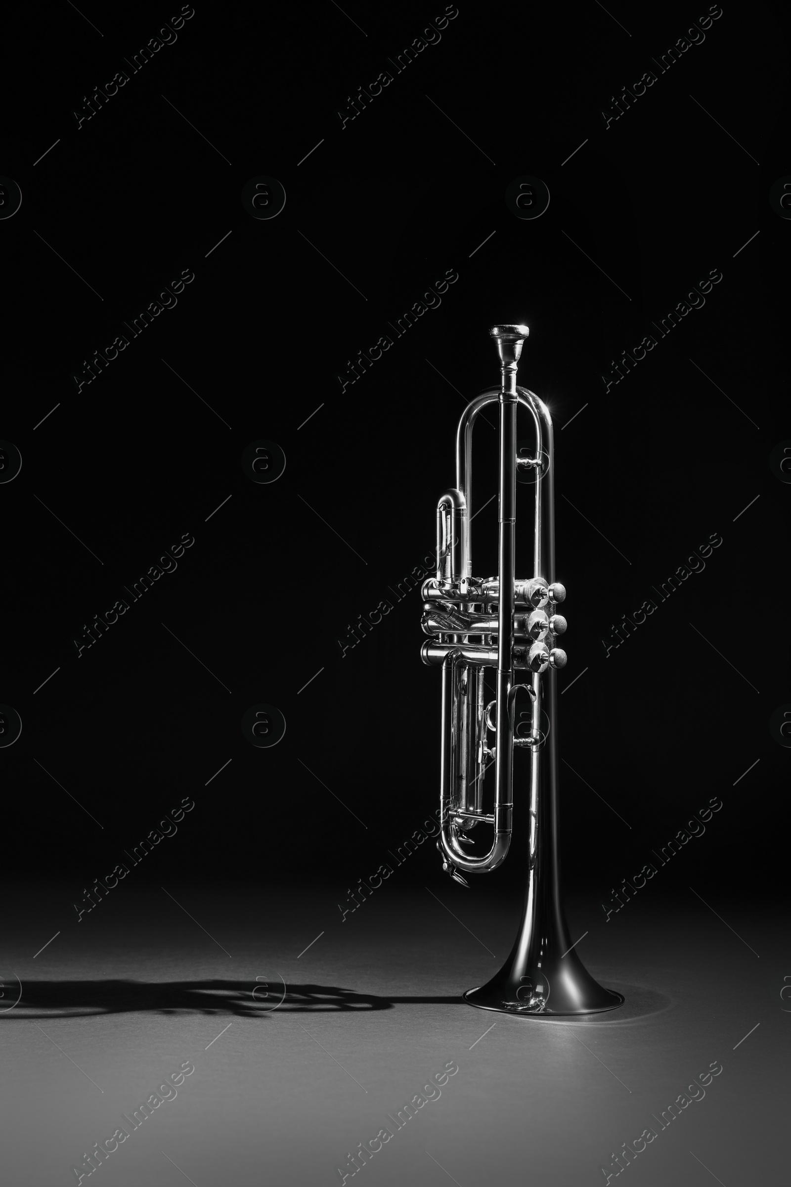 Photo of Shiny trumpet on dark background. Wind musical instrument