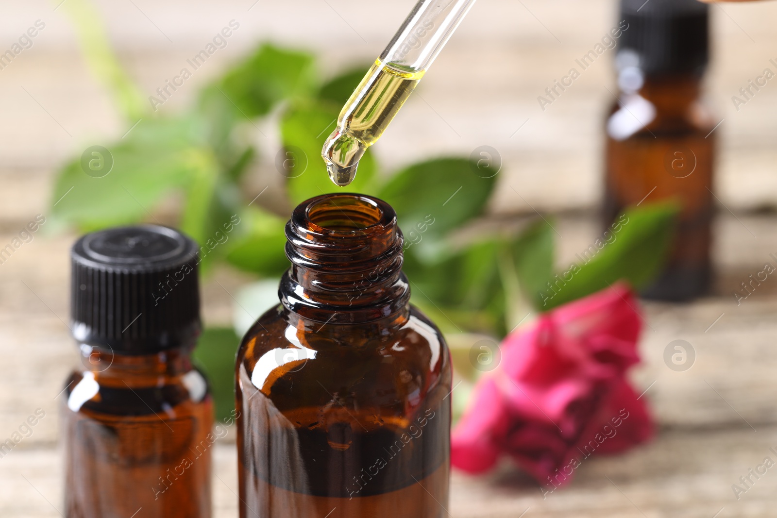 Photo of Essential oil dripping from pipette into bottle at table, closeup