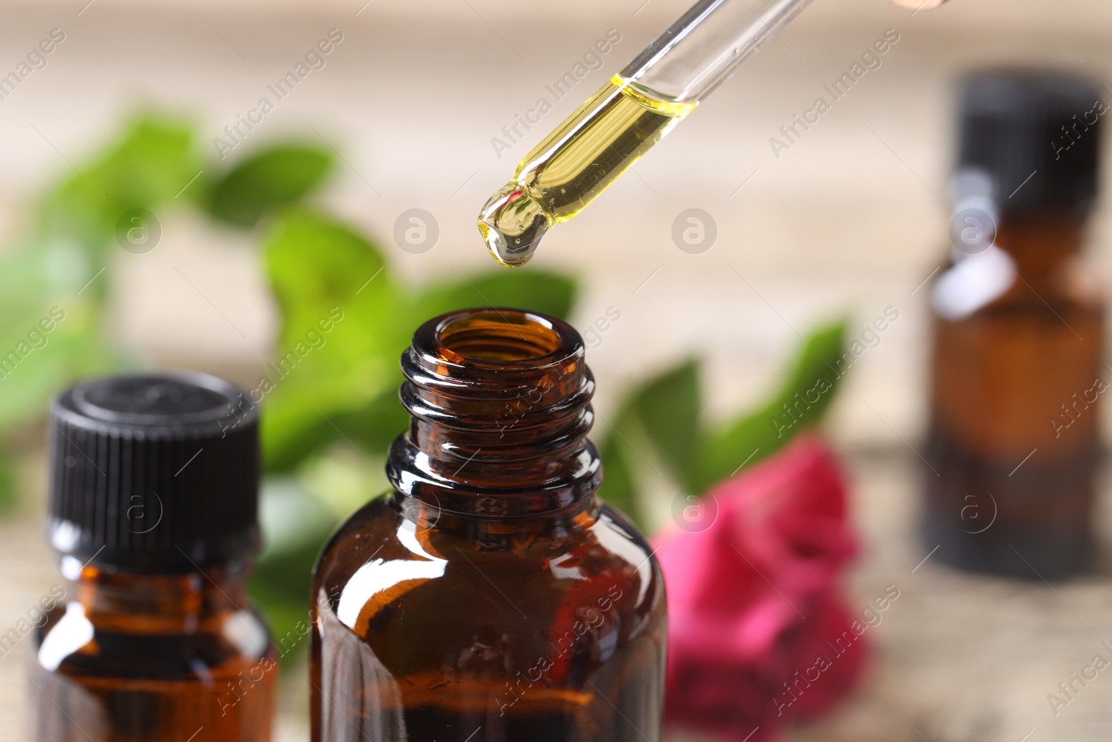 Photo of Essential oil dripping from pipette into bottle at table, closeup