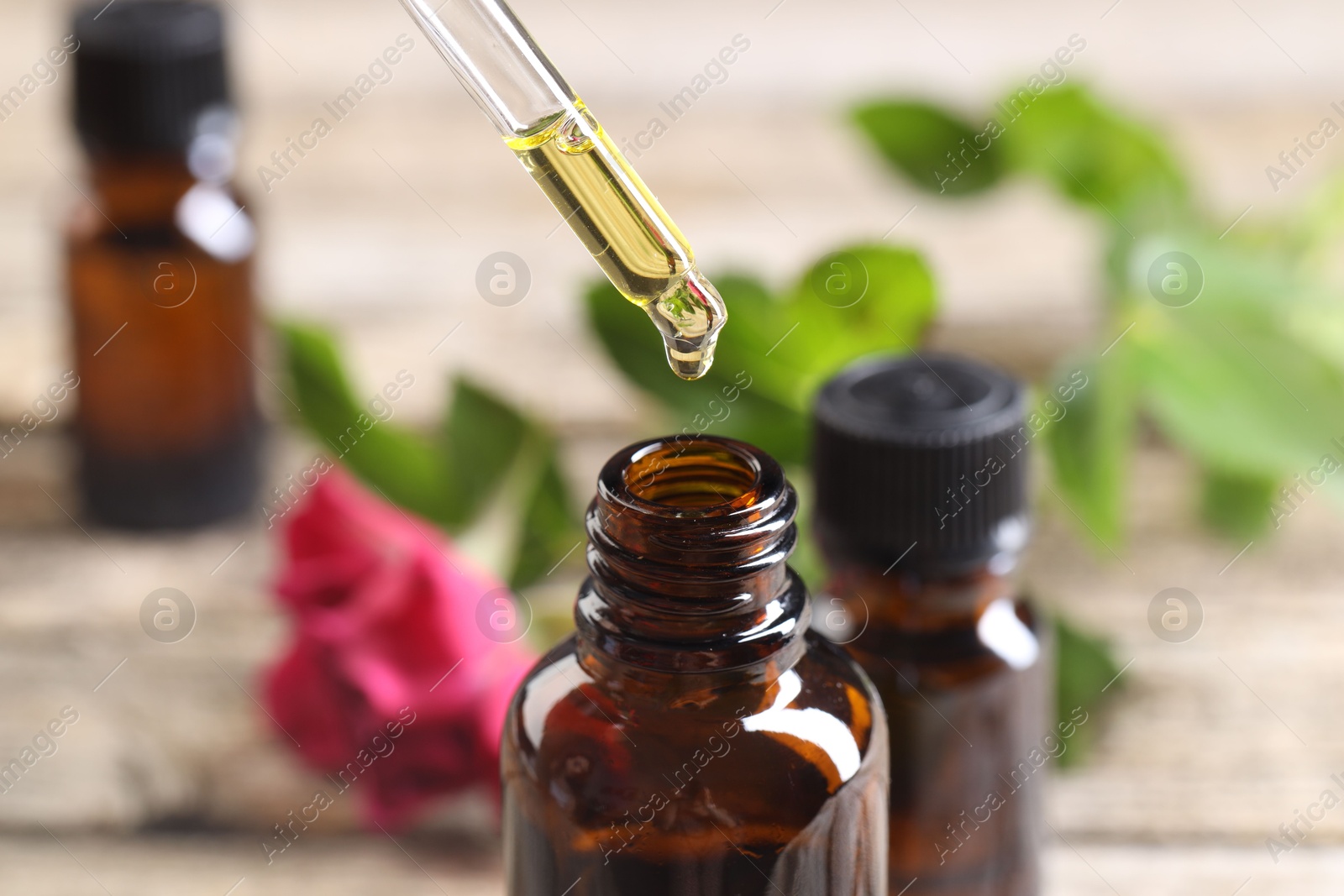 Photo of Essential oil dripping from pipette into bottle at table, closeup