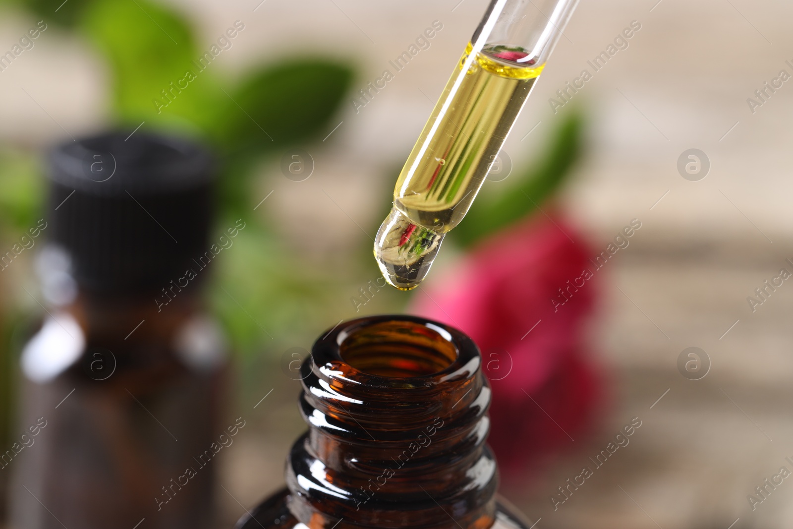 Photo of Essential oil dripping from pipette into bottle against blurred background, closeup