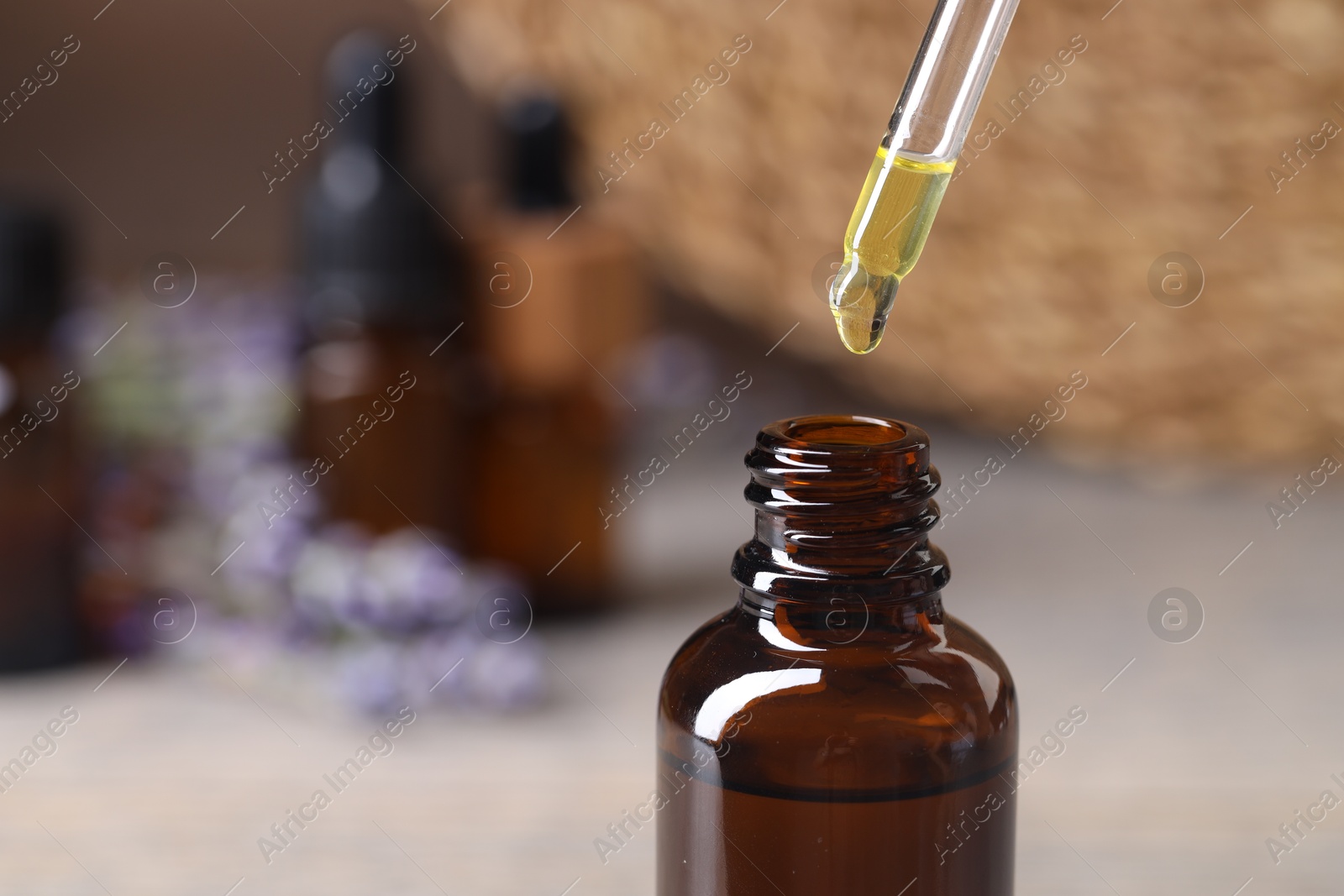 Photo of Essential oil dripping from pipette into bottle against blurred background, closeup