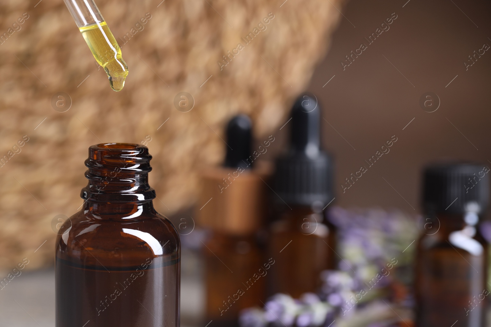 Photo of Essential oil dripping from pipette into bottle against blurred background, closeup. Space for text