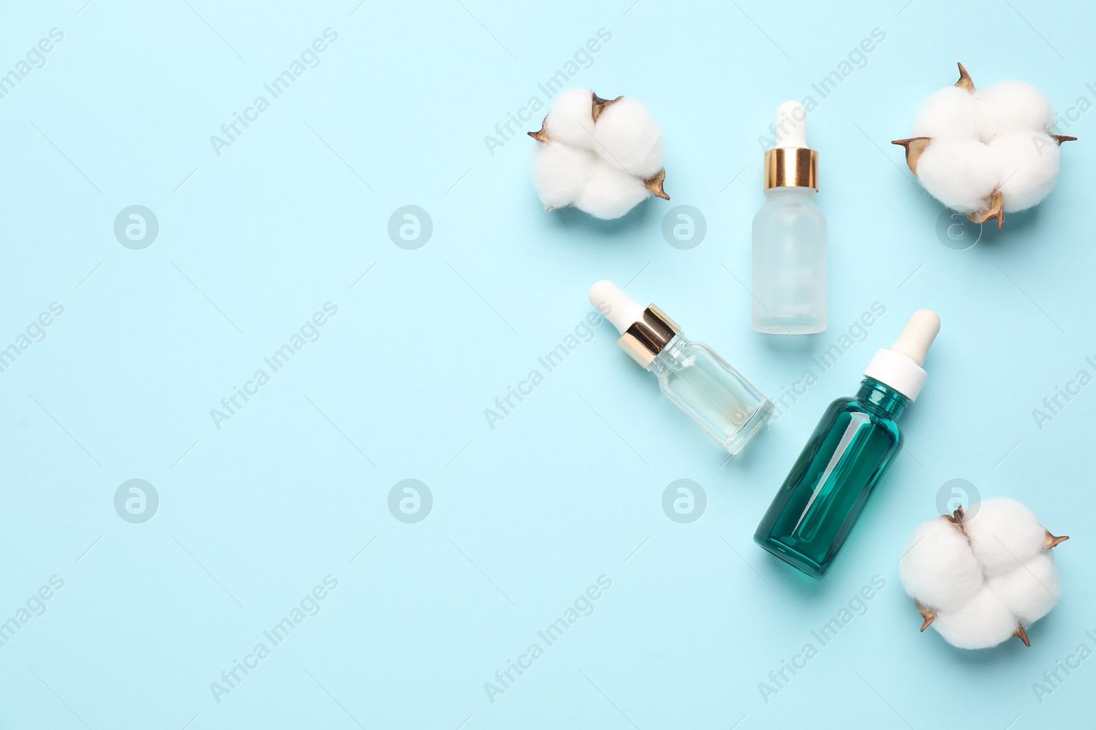 Photo of Different cosmetic products and cotton flowers on light blue background, flat lay. Space for text