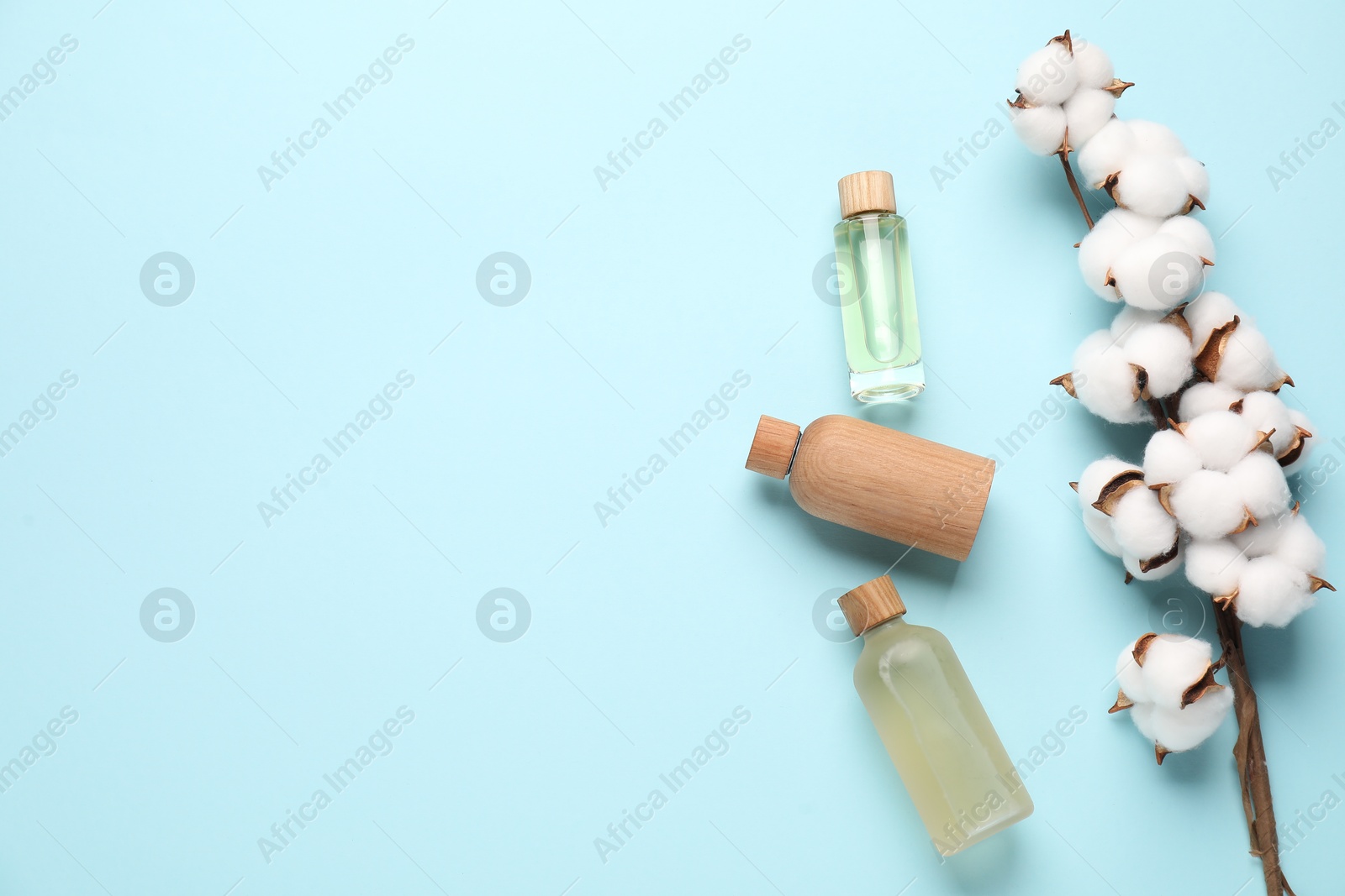 Photo of Different cosmetic products and cotton flowers on light blue background, flat lay. Space for text