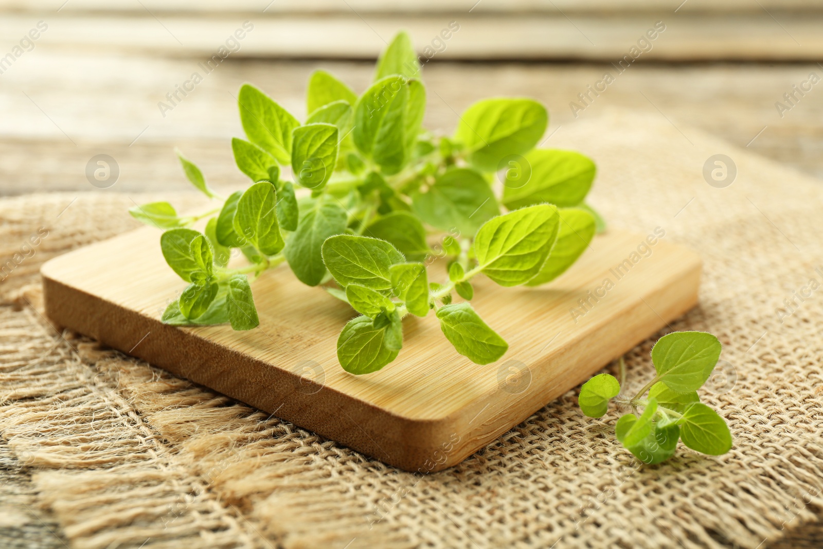 Photo of Sprigs of fresh green oregano on table, closeup