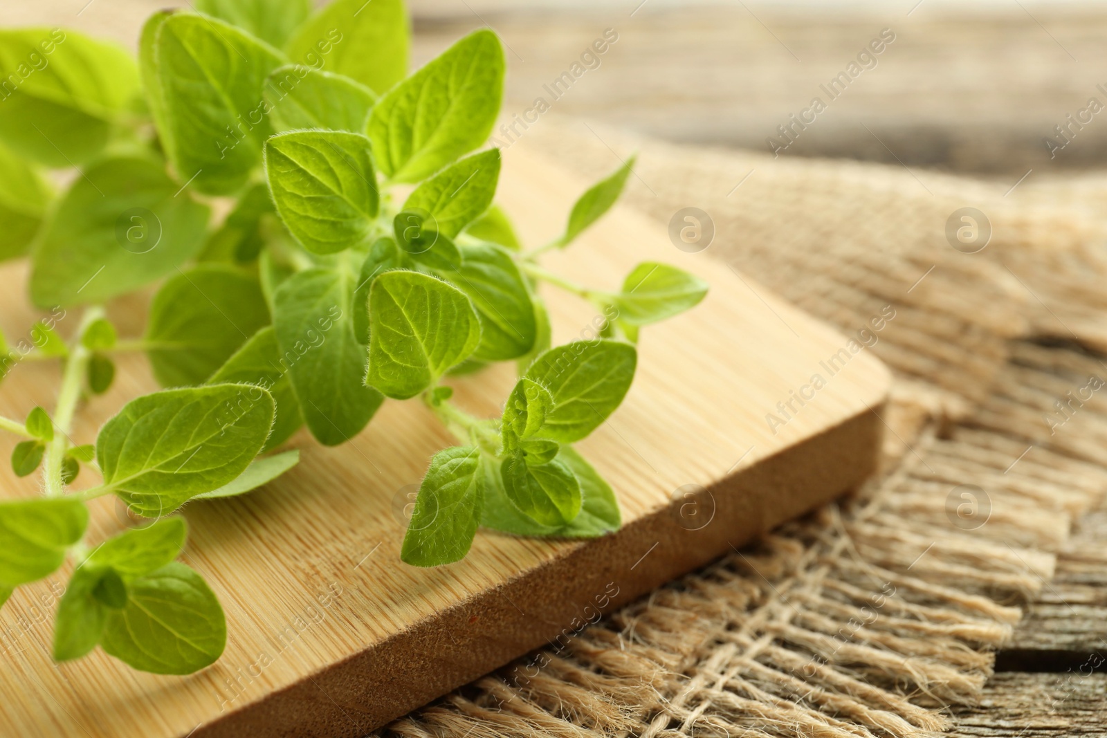 Photo of Sprigs of fresh green oregano on table, closeup